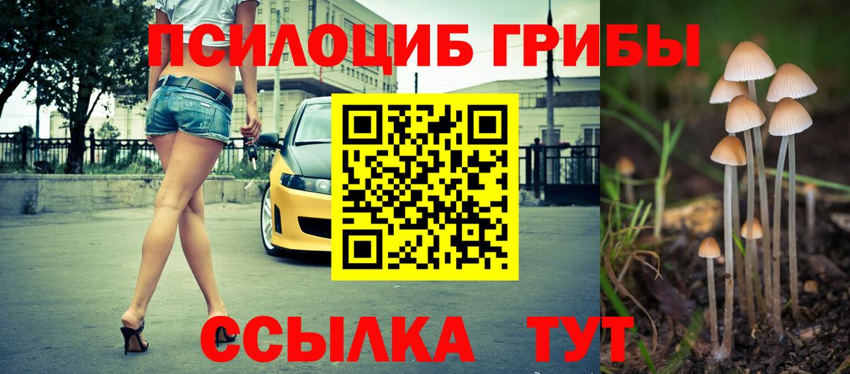 Галлюциногенные грибы Magic Shrooms  Вход с VPN  Галлюциногенные грибы MAGIC MUSHROOMS  Павлово 