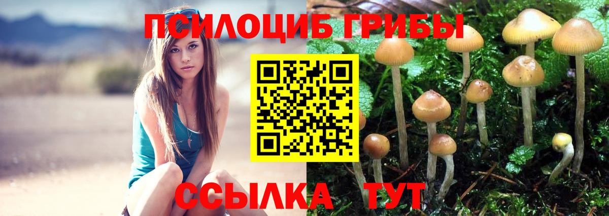 Псилоцибиновые грибы GOLDEN TEACHER Павлово